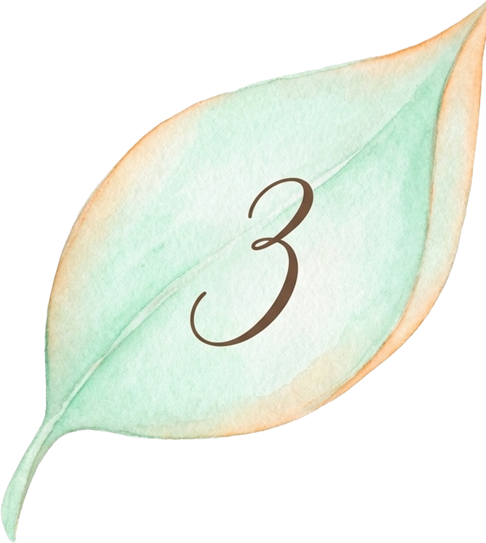 数字3