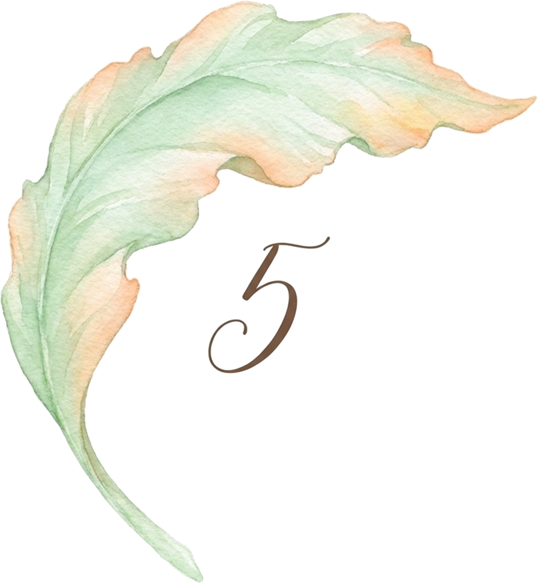 5